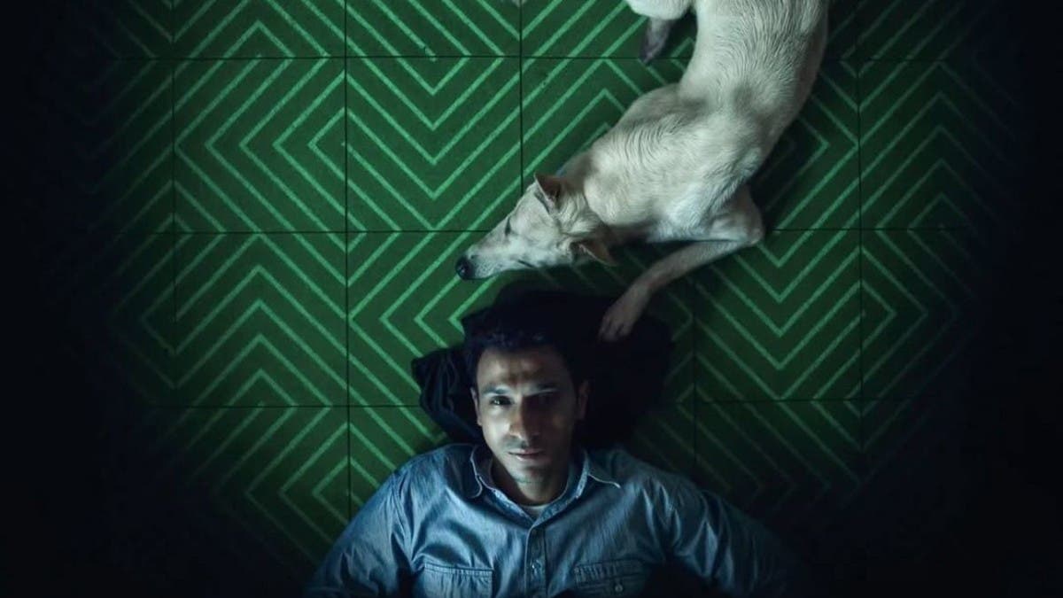 Critique du film Monsieur Rambo - Hassan et son chien vue d'en haut Critique du film Monsieur Rambo - Hassan et son chien vue d'en haut