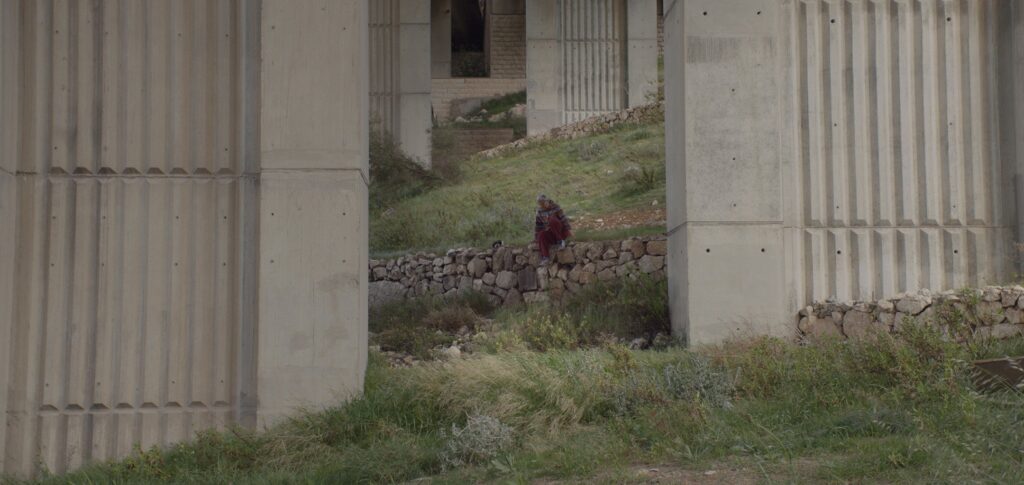 © Foragers (2022)