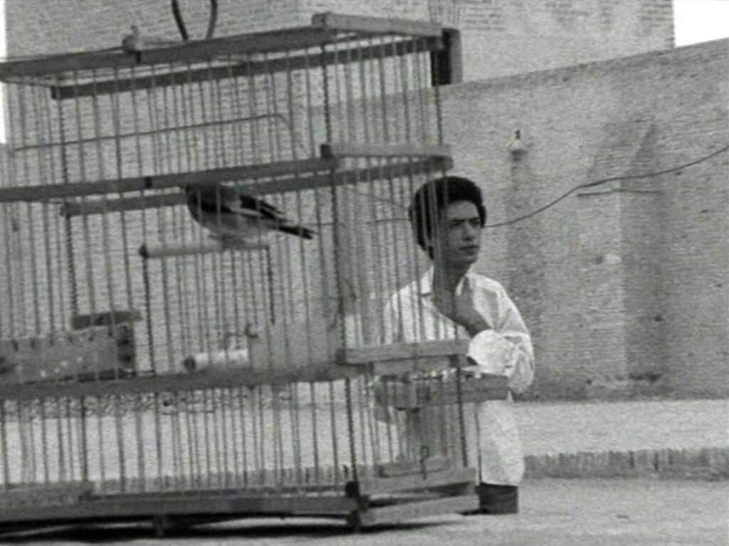 © Seuil interdits (1972)