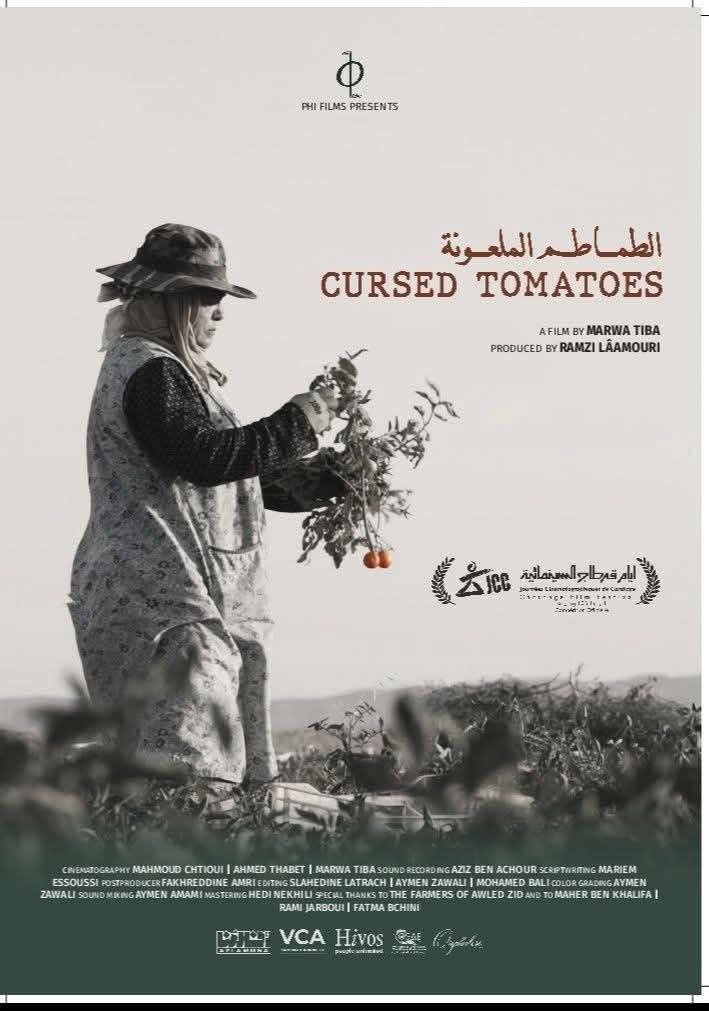 Tomates maudites الطماطم الملعونة
